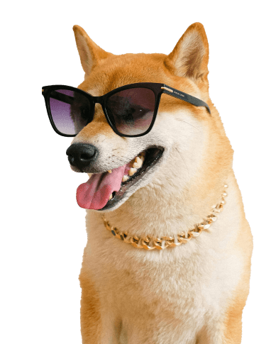 Dawg