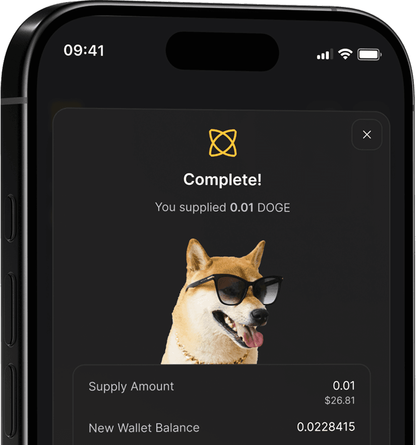 DOGE lending platform right image